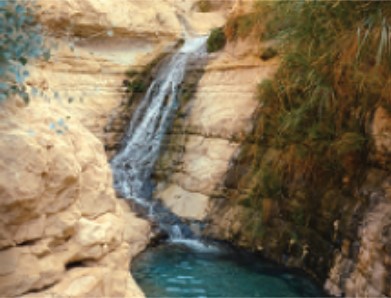منظر طبيعي